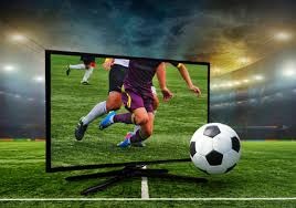 《棒球青训营：在多米尼加投资一名12岁天才的风险与回报》