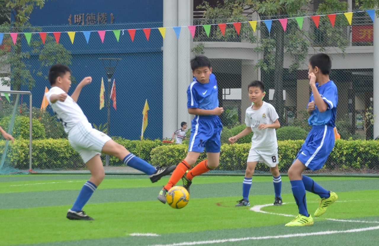 发展路径 发展路径