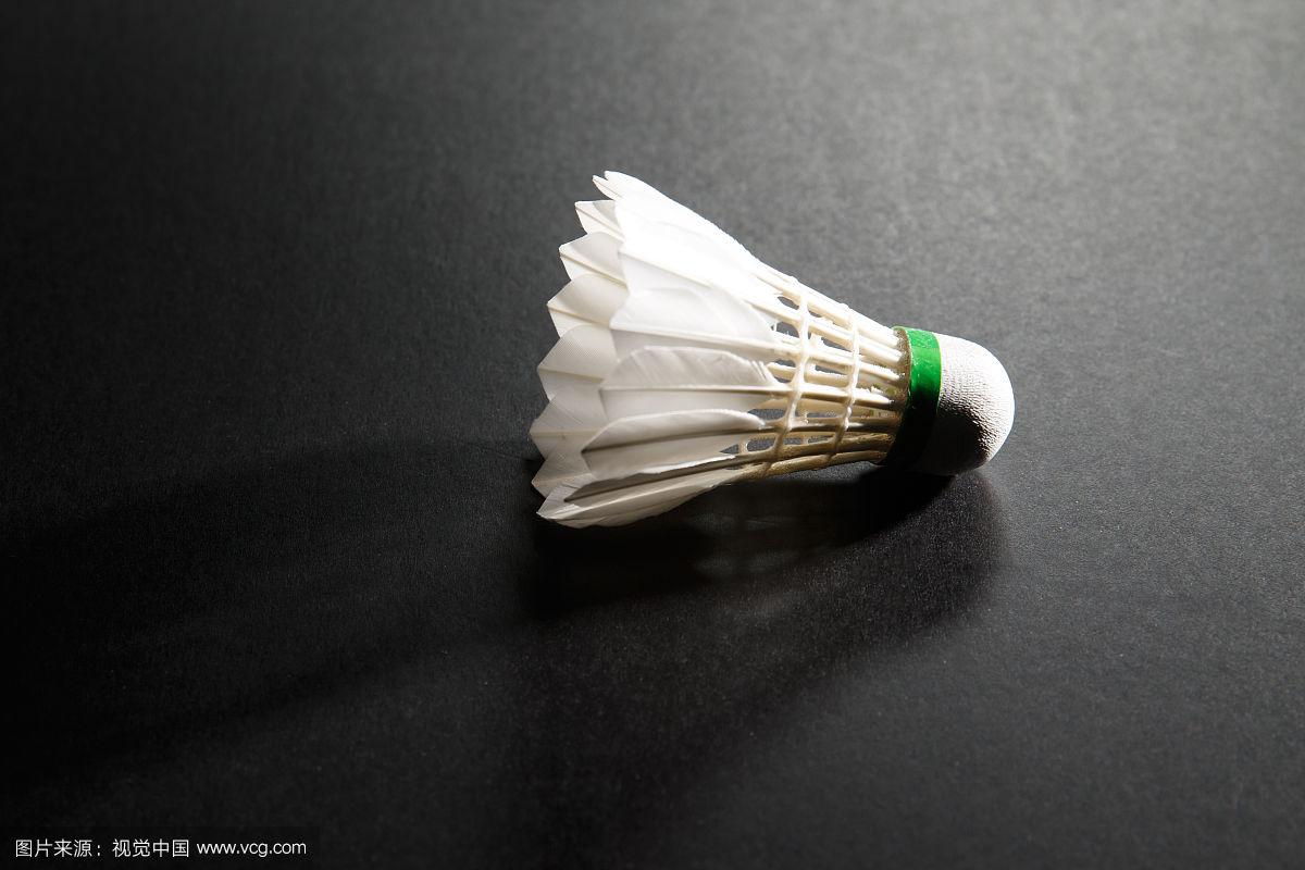 阵国际知名 阵国际知名